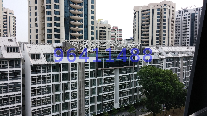 RIVER VALLEY ROAD (D10), Condominium #38617962